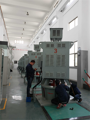 防汛高压电机保养检修工程